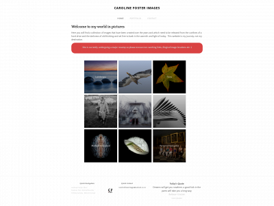 www.carolinefosterimages.co.nz snapshot