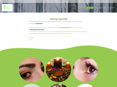 salongegentid.se snapshot