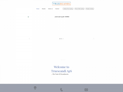 truescandi.dk snapshot