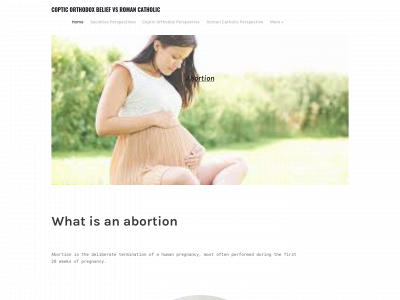 cosassignmentchandanu.weebly.com snapshot