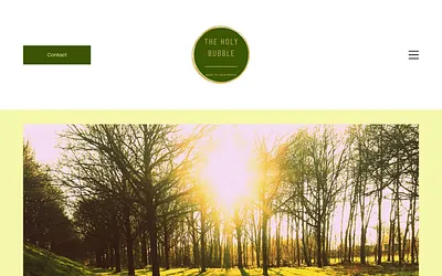 theholybubble.nl snapshot