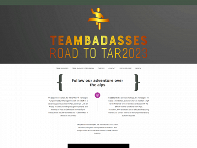 teambadasses.se snapshot