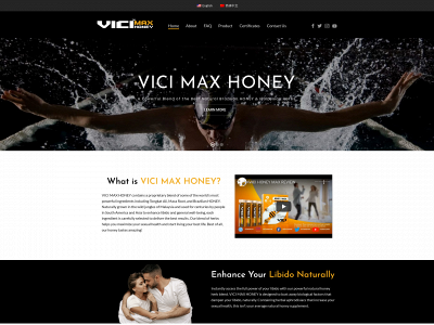 vicienhance.com snapshot