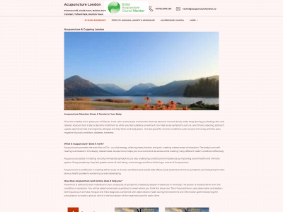 acupuncturelondon.co snapshot