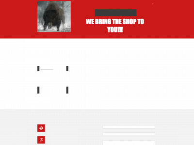 bisonmobiledieselrepair.services snapshot