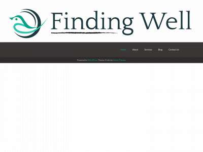 findingwellcoaching.com snapshot