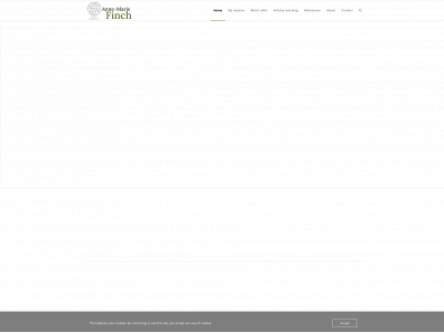 annemariefinch.com snapshot