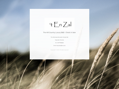 tenzal.com snapshot