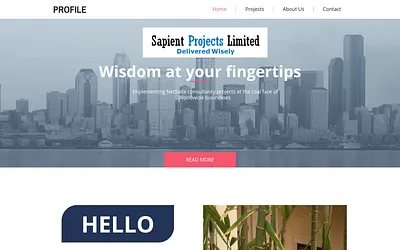 sapientprojectsltd.co.uk snapshot