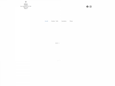 stagevivakids.be snapshot