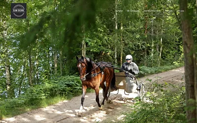 teamsverre.se snapshot