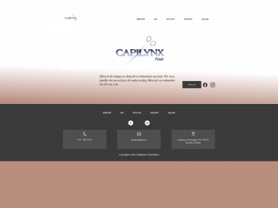 capilynx.se snapshot