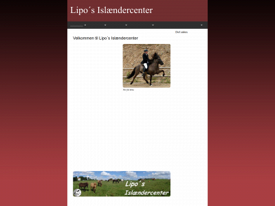 lipo-s.dk snapshot
