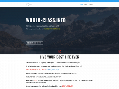 world-class.info snapshot