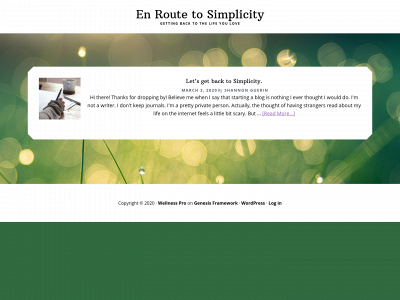 enroutetosimplicity.com snapshot