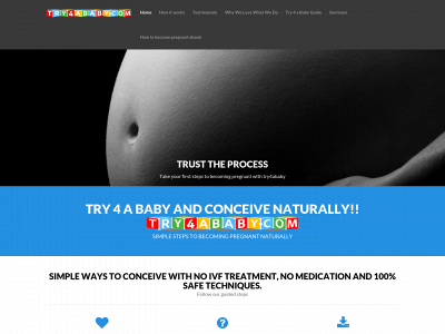 try4ababy.com snapshot
