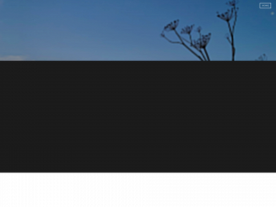 www.radiantlightzen.org snapshot