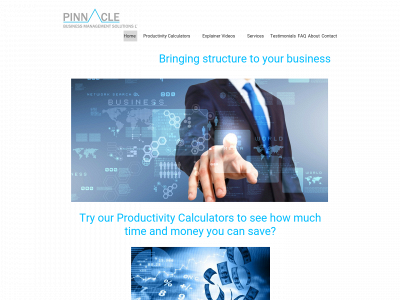 pinnaclebusinessmanagementsolutions.co.uk snapshot