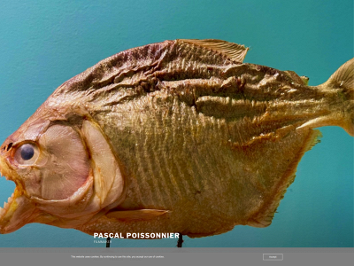 pascalpoissonnier.be snapshot