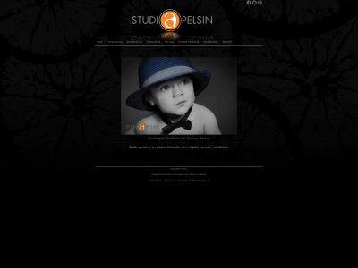 studioapelsin.se snapshot