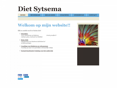dietsytsema.nl snapshot