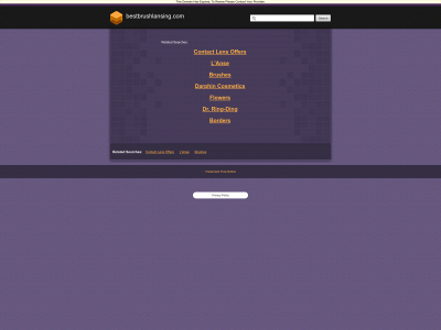 www.bestbrushlansing.com snapshot