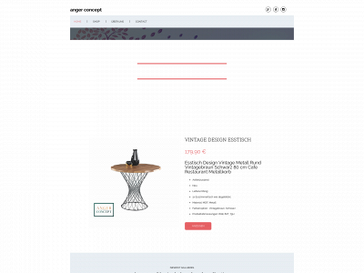 angerconcept.de snapshot
