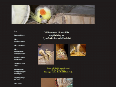 blomedallife.se snapshot