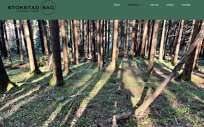 stokstadsaga.no snapshot