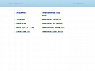 prohandyhouston.com snapshot