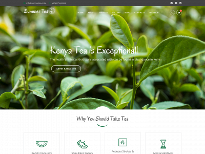 summertea.co.ke snapshot