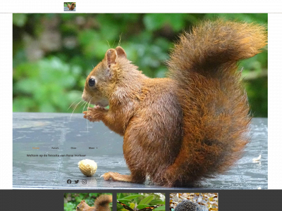 rene-verhaar-foto-site.nl snapshot