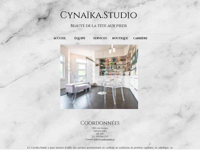 cynaikastudio.com snapshot