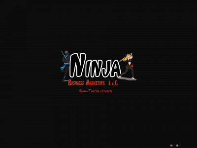 ninjabusinessmarketing.com snapshot