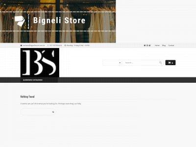 bignelistore.com.br snapshot
