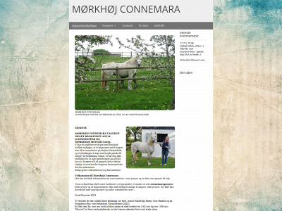 morkhoj-connemara.dk snapshot