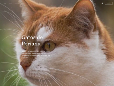 gatosdeperiana.org snapshot