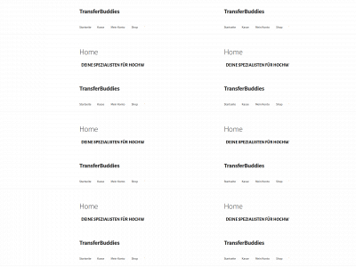 transferbuddies.de snapshot