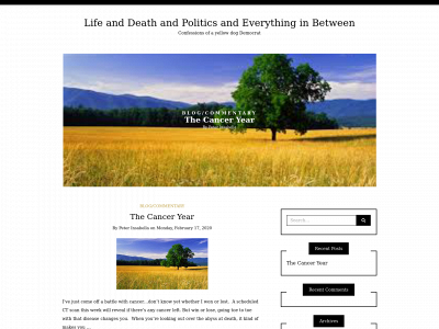 life-and-death-and-politics.com snapshot