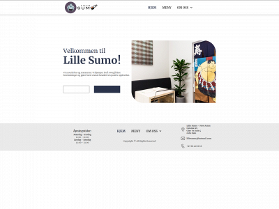 lillesumo.no snapshot