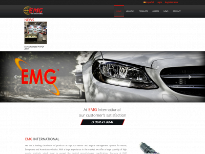 emginternational.com snapshot