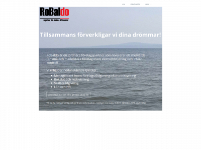 robaldo.se snapshot