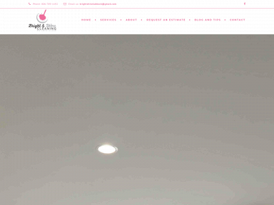 brightshine.biz snapshot
