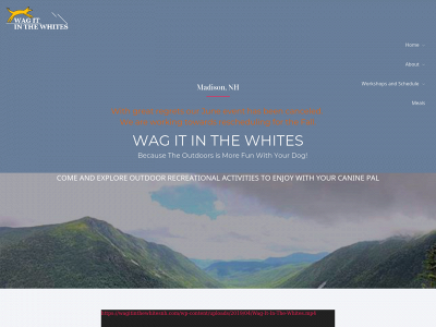 wagitinthewhitesnh.com snapshot