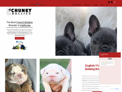 www.chunkybullies.com snapshot