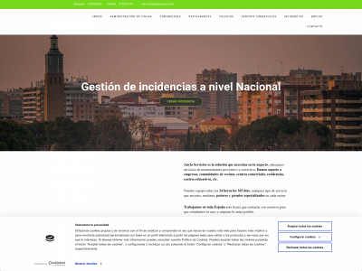 www.anylaservicios.com snapshot