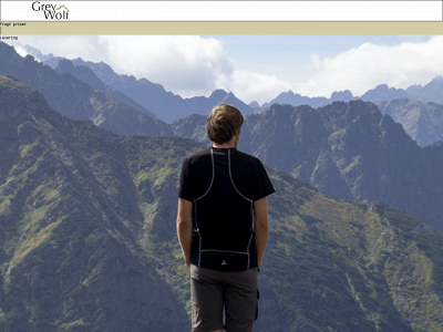 lvlop.online snapshot