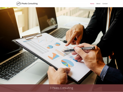 3peaks-consulting.com snapshot