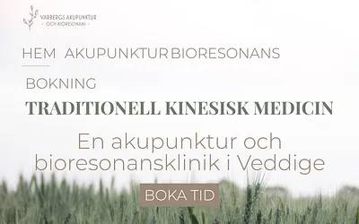 varbergsakupunktur.se snapshot