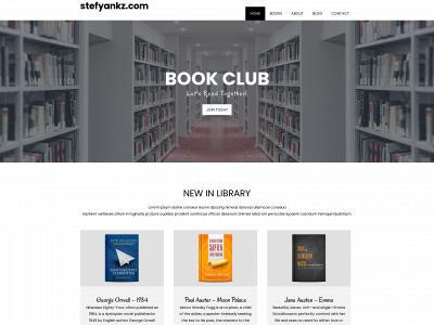 stefyankz.com snapshot